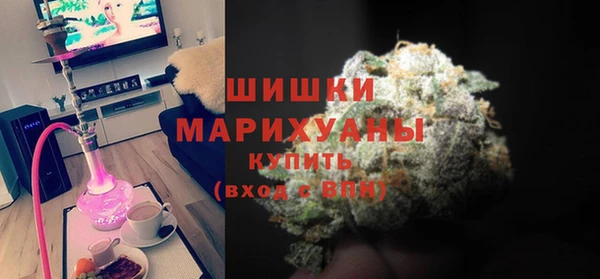 МДПВ Бородино