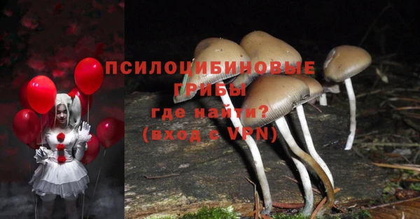 экстази Богородск