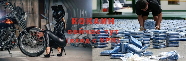 МДПВ Бородино