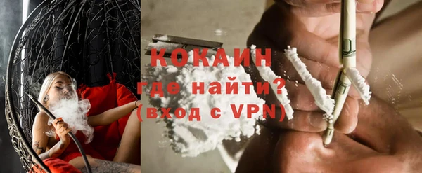 МДПВ Бородино