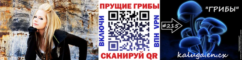 купить наркотик  Гусев  Псилоцибиновые грибы Magic Shrooms 